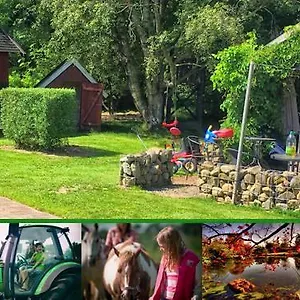 Stutteri Skandihest Agroturismo
